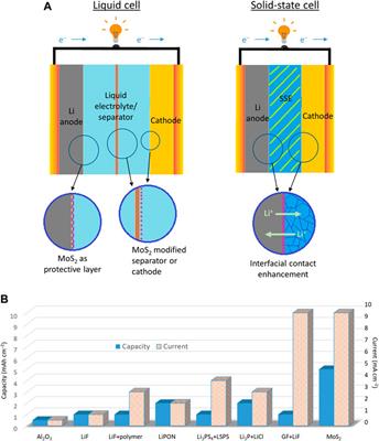 Advances of 2D MoS2 for High-Energy Lithium Metal Batteries